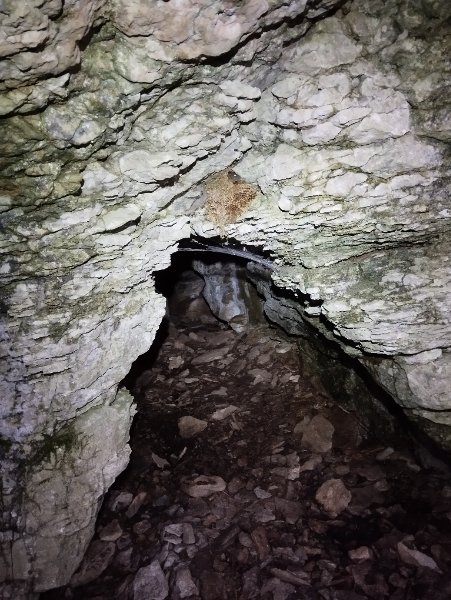 Entrée de La Renardière (La Rochepot)
La cavité comporte 2 galeries indépendantes (s'agit-il ici de la principale ?)
Fichier manquant